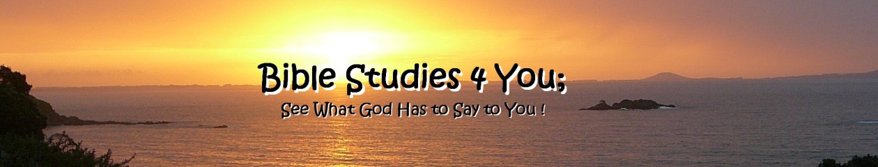 Bible Studies 4 YOU!